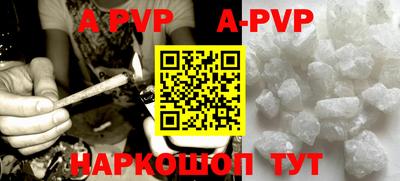 СК Новозыбков