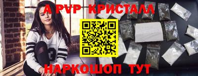 СК Новозыбков