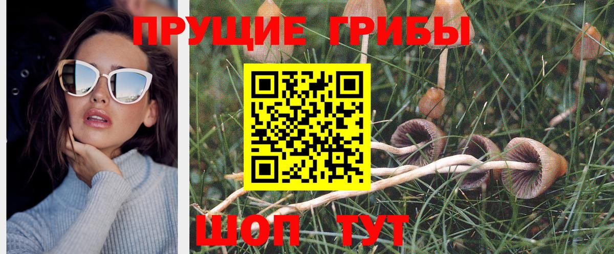 Южно-Сахалинск  Галлюциногенные грибы GOLDEN TEACHER  цены наркотик  Вход с VPN 